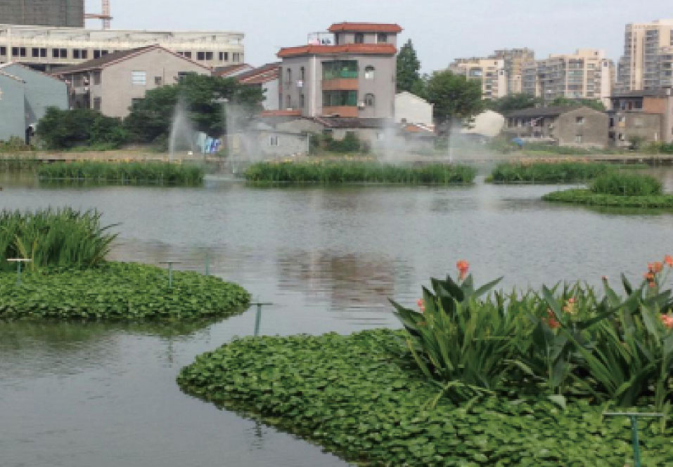 生态系统建设成果