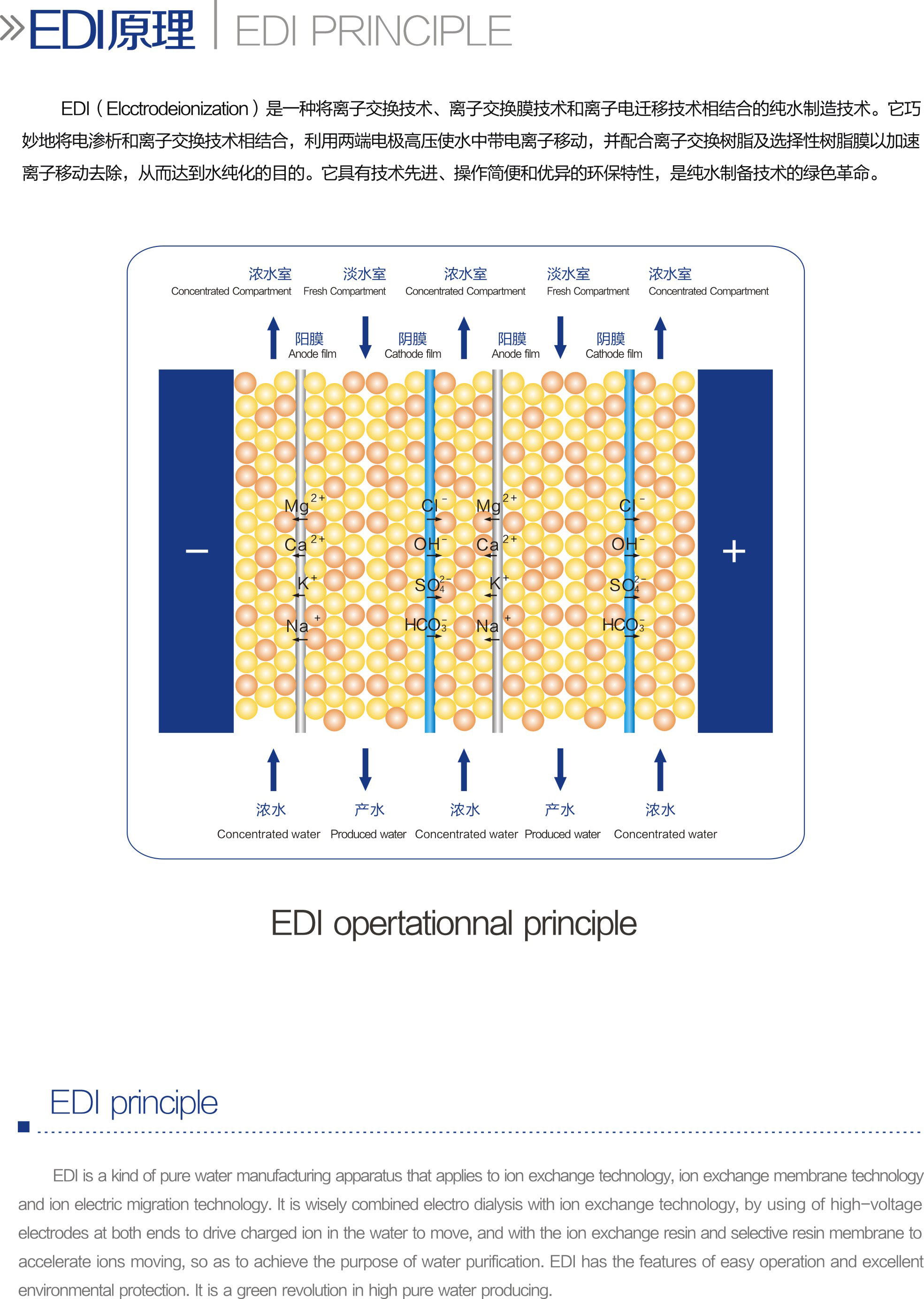 EDI膜块