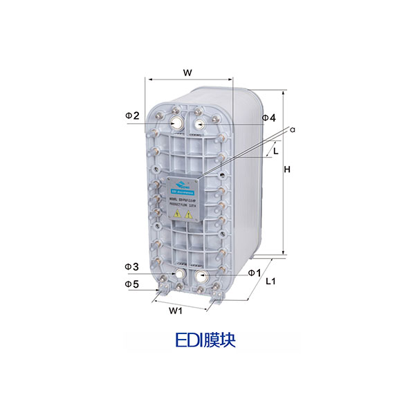 EDI膜块